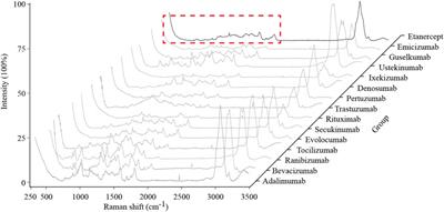 Extreme Point Sort Transformation Combined With a Long Short-Term Memory Network Algorithm for the Raman-Based Identification of Therapeutic Monoclonal Antibodies